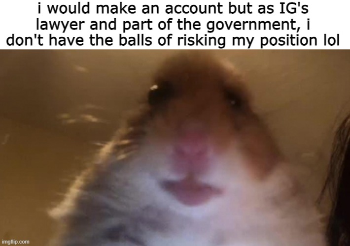 sus | i would make an account but as IG's lawyer and part of the government, i don't have the balls of risking my position lol | image tagged in staring hamster | made w/ Imgflip meme maker