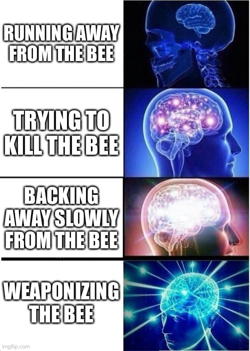 Expanding Brain Meme | RUNNING AWAY FROM THE BEE; TRYING TO KILL THE BEE; BACKING AWAY SLOWLY FROM THE BEE; WEAPONIZING THE BEE | image tagged in memes,expanding brain | made w/ Imgflip meme maker