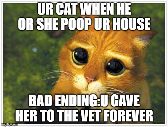 the secret life of pets lol | UR CAT WHEN HE OR SHE POOP UR HOUSE; BAD ENDING:U GAVE HER TO THE VET FOREVER | image tagged in memes,shrek cat | made w/ Imgflip meme maker