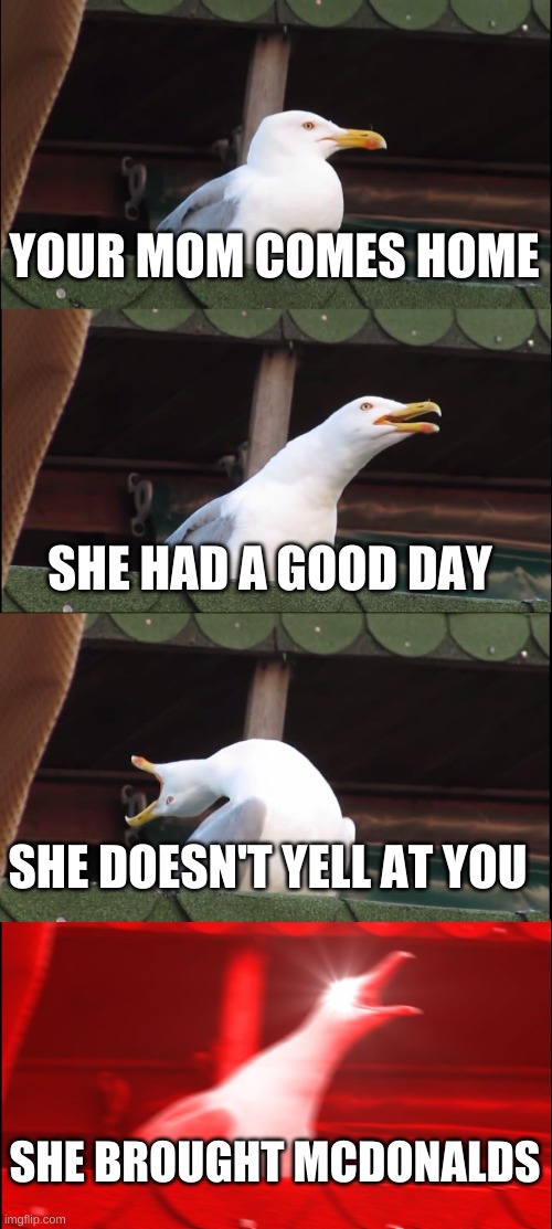 lol i wish i could say the same | YOUR MOM COMES HOME; SHE HAD A GOOD DAY; SHE DOESN'T YELL AT YOU; SHE BROUGHT MCDONALDS | image tagged in memes,inhaling seagull | made w/ Imgflip meme maker