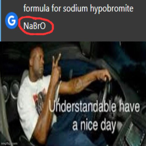 i ain't telling u no formula bro | image tagged in understandable have a great day | made w/ Imgflip meme maker