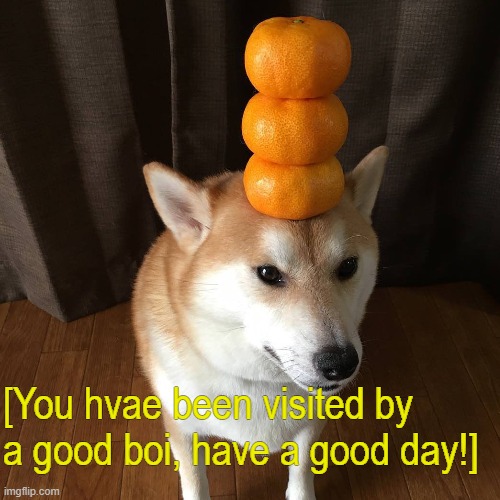 You have been visited asbyda |  [You hvae been visited by a good boi, have a good day!] | image tagged in shiba inu,funny,memes,funny memes,gifs,not really a gif | made w/ Imgflip meme maker