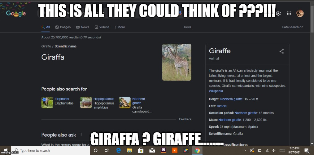 oof | THIS IS ALL THEY COULD THINK OF ???!!! GIRAFFA ? GIRAFFE........ | image tagged in this is a tag,why are you reading this | made w/ Imgflip meme maker