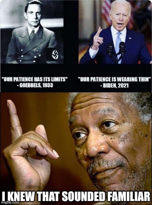 I thought that sounded familiar |  I KNEW THAT SOUNDED FAMILIAR | image tagged in this morgan freeman,joe biden,nazis | made w/ Imgflip meme maker