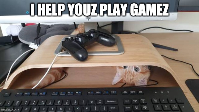 GAMER KITTY | I HELP YOUZ PLAY GAMEZ | image tagged in cats,funny cats | made w/ Imgflip meme maker