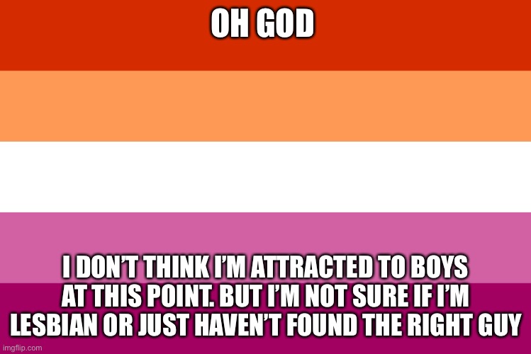 I’m so sick of this *bipanlesbian panik* | OH GOD; I DON’T THINK I’M ATTRACTED TO BOYS AT THIS POINT. BUT I’M NOT SURE IF I’M LESBIAN OR JUST HAVEN’T FOUND THE RIGHT GUY | image tagged in lesbian flag | made w/ Imgflip meme maker