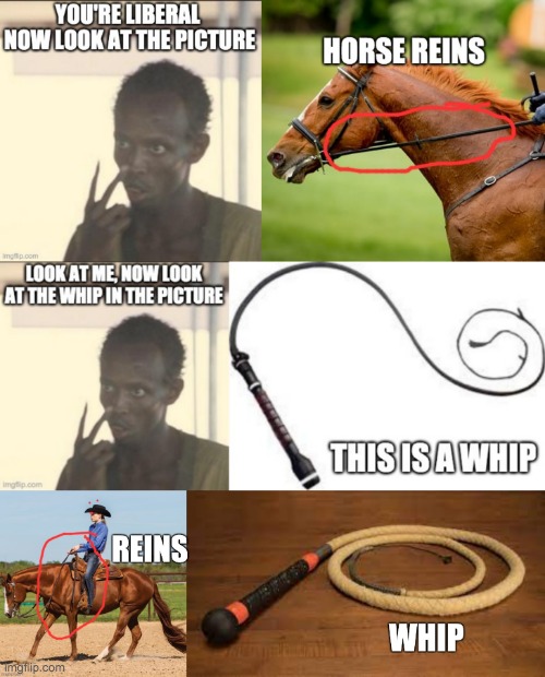 whips or reins | image tagged in joe biden | made w/ Imgflip meme maker