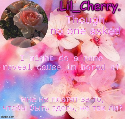 w h y n o t | Though no one asked; I might do a name reveal cause im bored af | image tagged in lil_cherrys announcement table | made w/ Imgflip meme maker