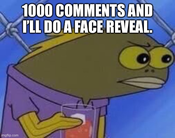 hmmmmmmmm | 1000 COMMENTS AND I’LL DO A FACE REVEAL. | image tagged in hmmmmmmmm | made w/ Imgflip meme maker