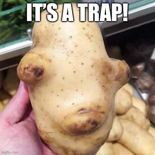 Potato Ackbar | IT’S A TRAP! | image tagged in potato ackbar | made w/ Imgflip meme maker