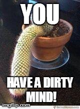 YOU HAVE A DIRTY MIND! | image tagged in funny,cactus | made w/ Imgflip meme maker