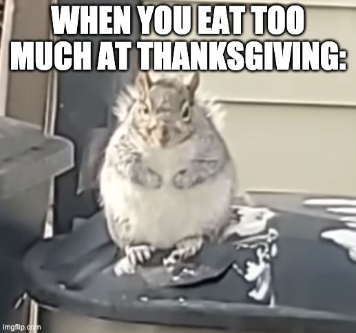 fat squirrel | WHEN YOU EAT TOO MUCH AT THANKSGIVING: | made w/ Imgflip meme maker