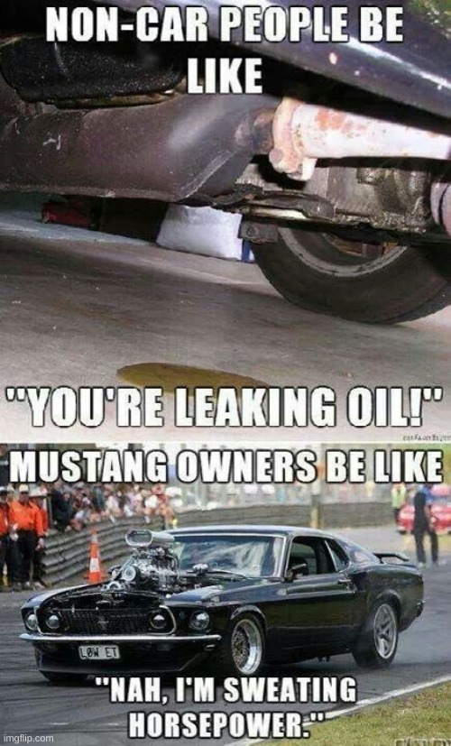 BECAUSE I AM. MUSTANG IS THE BEST. | made w/ Imgflip meme maker