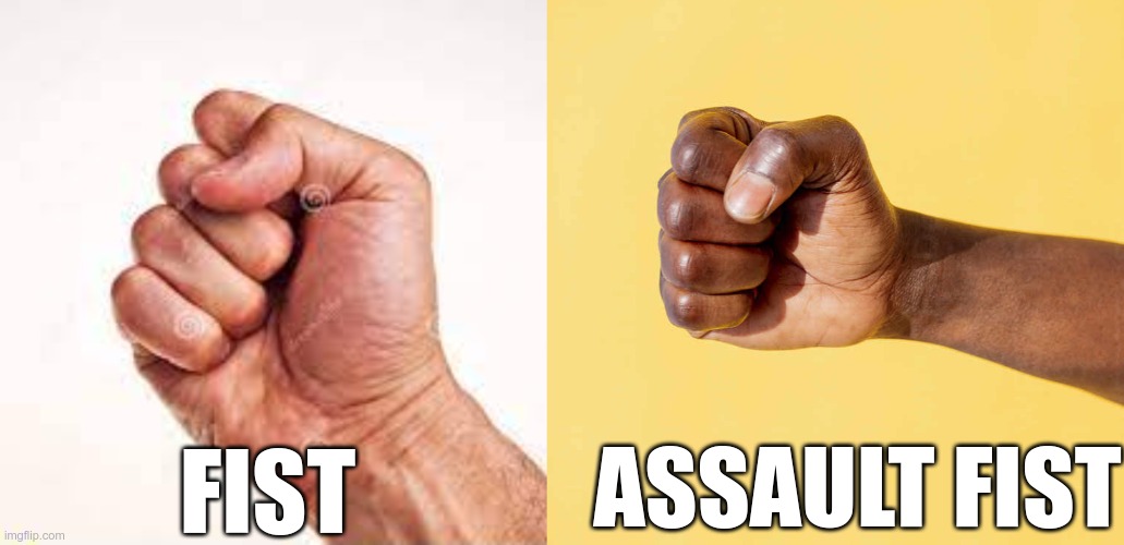 FIST ASSAULT FIST | made w/ Imgflip meme maker