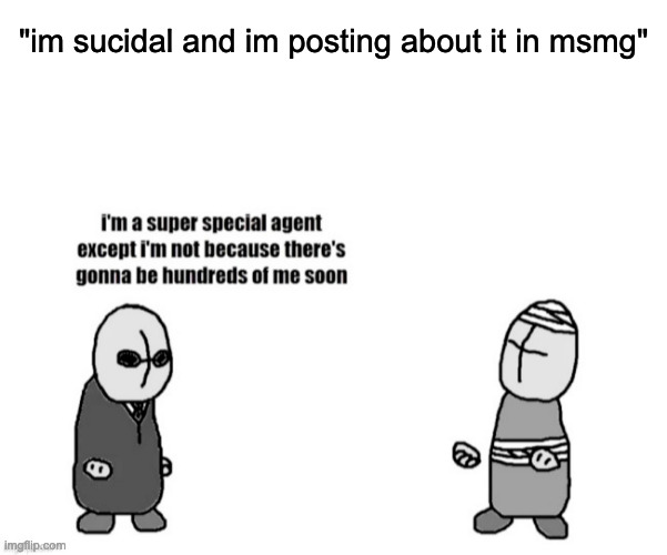 "im sucidal and im posting about it in msmg" | image tagged in blank white template | made w/ Imgflip meme maker