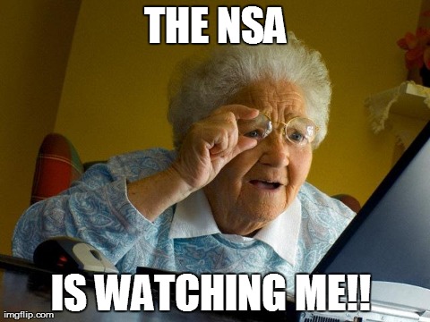 Grandma Finds The Internet | THE NSA IS WATCHING ME!! | image tagged in memes,grandma finds the internet | made w/ Imgflip meme maker
