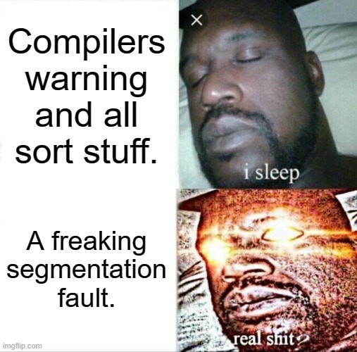 Not me. | Compilers warning and all sort stuff. A freaking segmentation fault. | image tagged in memes,sleeping shaq | made w/ Imgflip meme maker