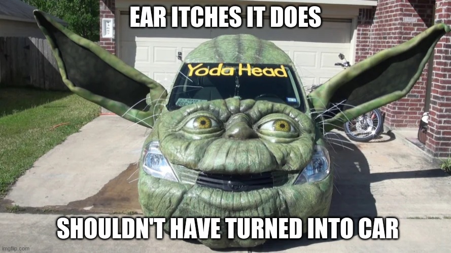 Rock'n, Rock'n and Roll'n, Down to the Beach I'm Stroll'n | EAR ITCHES IT DOES; SHOULDN'T HAVE TURNED INTO CAR | image tagged in star wars yoda,yoda,cars,car,seagull's stop it now | made w/ Imgflip meme maker