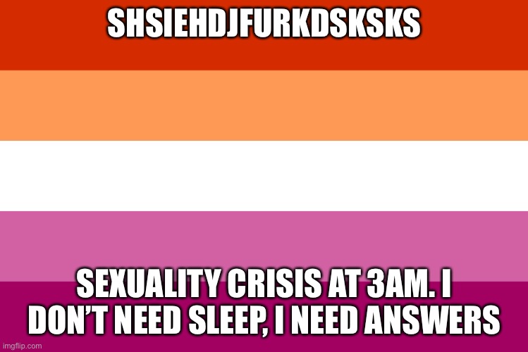 Can somebody help | SHSIEHDJFURKDSKSKS; SEXUALITY CRISIS AT 3AM. I DON’T NEED SLEEP, I NEED ANSWERS | image tagged in lesbian flag | made w/ Imgflip meme maker