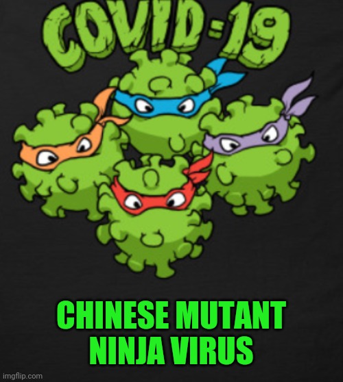 Chinese mutant ninja virus | CHINESE MUTANT NINJA VIRUS | image tagged in funny memes | made w/ Imgflip meme maker