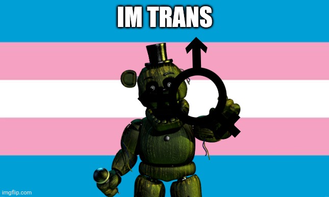 Transgender Flag | IM TRANS | image tagged in transgender flag | made w/ Imgflip meme maker