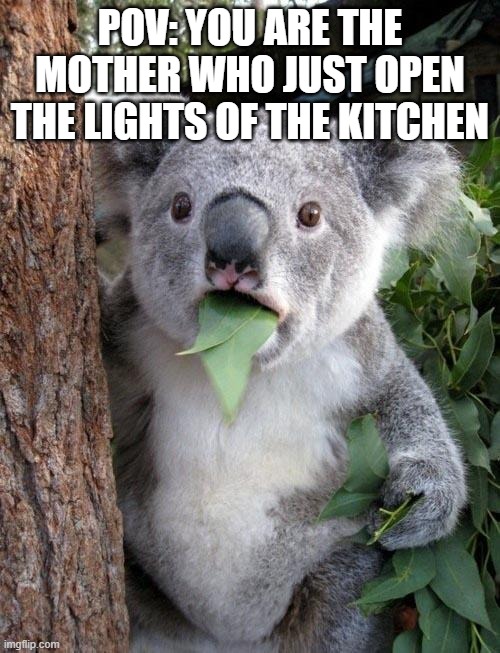 to be continued ;) | POV: YOU ARE THE MOTHER WHO JUST OPEN THE LIGHTS OF THE KITCHEN | image tagged in suprised koala | made w/ Imgflip meme maker