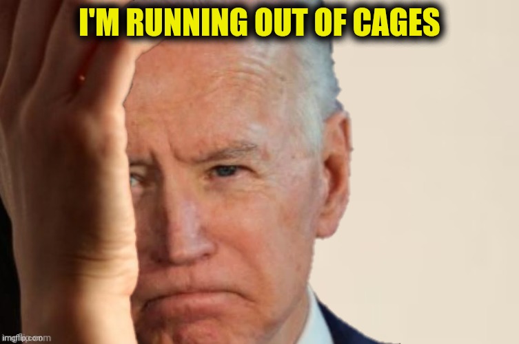 I'M RUNNING OUT OF CAGES | made w/ Imgflip meme maker