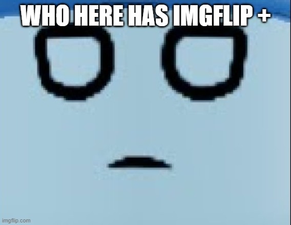 i have gif | WHO HERE HAS IMGFLIP + | image tagged in conscript face | made w/ Imgflip meme maker