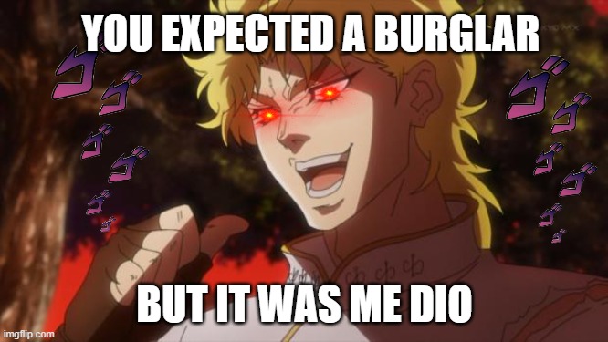 what | YOU EXPECTED A BURGLAR; BUT IT WAS ME DIO | image tagged in but it was me dio | made w/ Imgflip meme maker