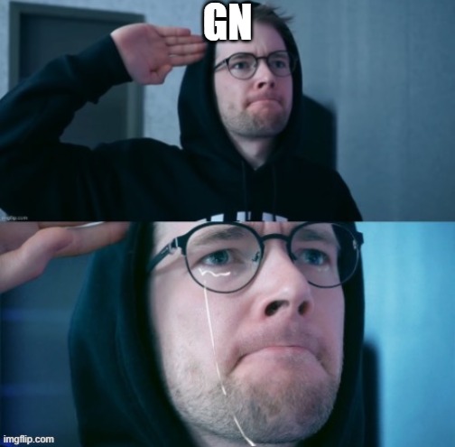 help im going insane | GN | image tagged in dantdm salute | made w/ Imgflip meme maker