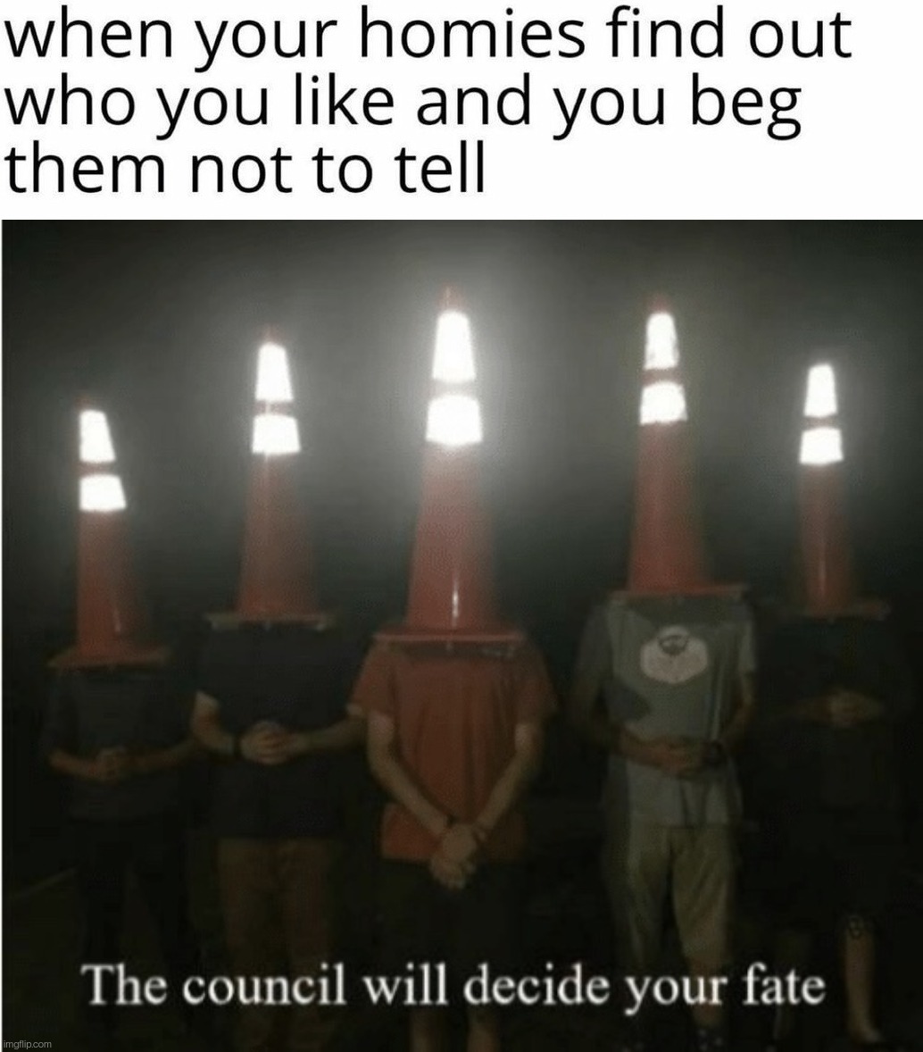 Council's decision. . . | image tagged in the council will decide your fate,homies,funny,memes | made w/ Imgflip meme maker
