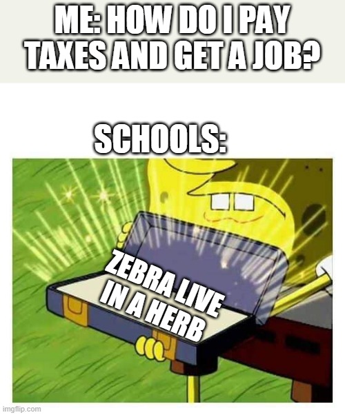 Spongebob box | ME: HOW DO I PAY TAXES AND GET A JOB? SCHOOLS:; ZEBRA LIVE IN A HERB | image tagged in spongebob box | made w/ Imgflip meme maker