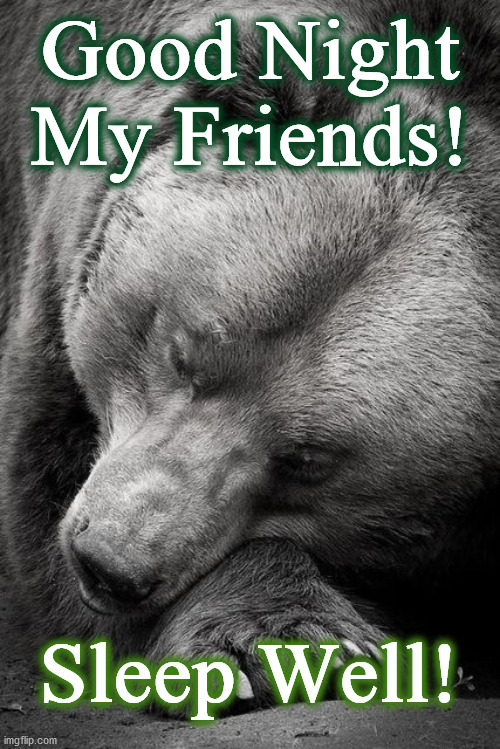 bear | Good Night
My Friends! Sleep Well! | image tagged in bear | made w/ Imgflip meme maker