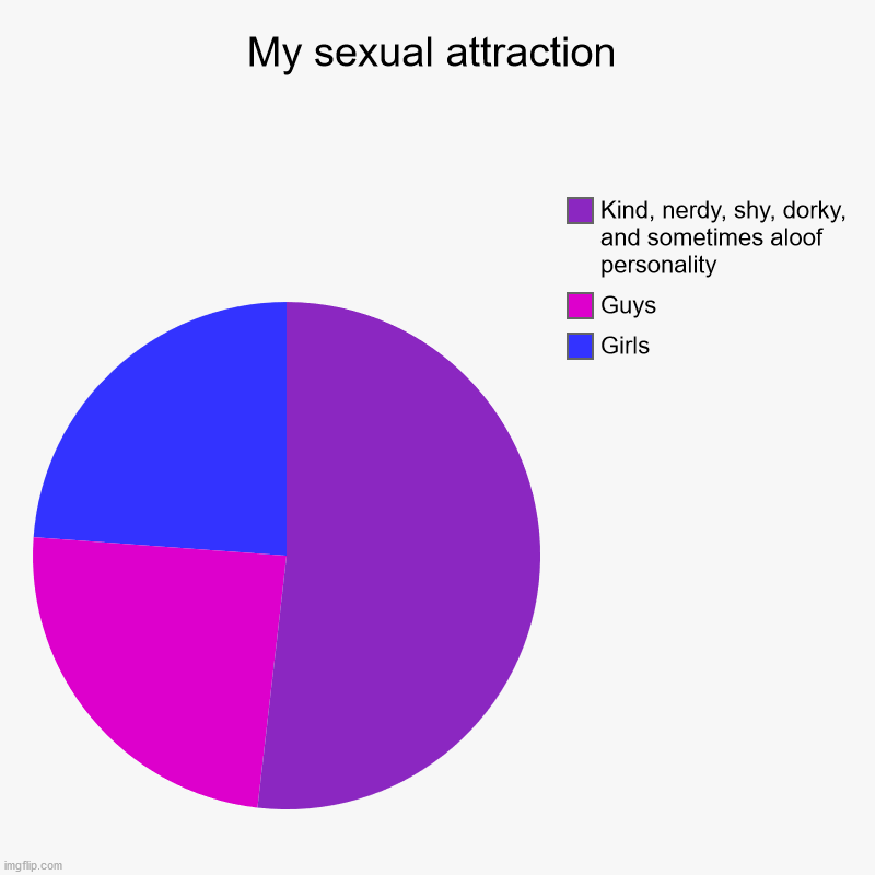 Sometimes, it's the heart that counts for me | My sexual attraction | Girls, Guys, Kind, nerdy, shy, dorky, and sometimes aloof personality | image tagged in charts,pie charts | made w/ Imgflip chart maker