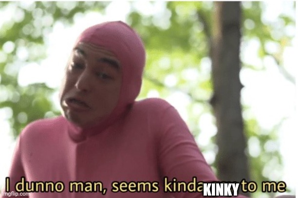 I dunno man seems kinda gay to me | KINKY | image tagged in i dunno man seems kinda gay to me | made w/ Imgflip meme maker