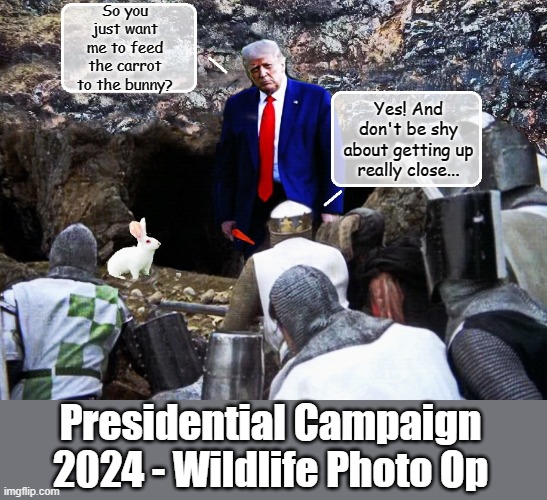 Keeping Trump Out of Office.... | So you just want me to feed the carrot to the bunny? Yes! And don't be shy about getting up really close... Presidential Campaign 2024 - Wildlife Photo Op | image tagged in monty python and the holy grail,donald trump is an idiot,election fraud | made w/ Imgflip meme maker