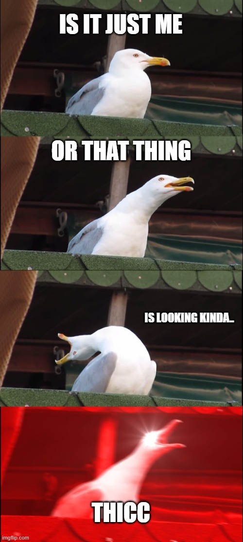 when dani sees something big | IS IT JUST ME; OR THAT THING; IS LOOKING KINDA.. THICC | image tagged in memes,inhaling seagull | made w/ Imgflip meme maker