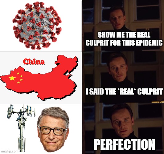 Seems legit. | SHOW ME THE REAL CULPRIT FOR THIS EPIDEMIC; I SAID THE *REAL* CULPRIT; PERFECTION | image tagged in perfection,covid-19,coronavirus,conspiracy theories | made w/ Imgflip meme maker