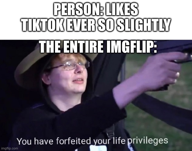 In imgflip’s defence, Tiktok is really cringy | PERSON: LIKES TIKTOK EVER SO SLIGHTLY; THE ENTIRE IMGFLIP: | image tagged in you have forfeited life privileges,imgflip,tik tok | made w/ Imgflip meme maker