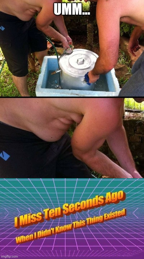 His stomach almost looks like a face! | UMM... | image tagged in i miss ten seconds ago | made w/ Imgflip meme maker