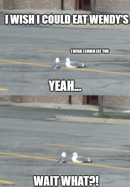 The Average Life of Seagulls | I WISH I COULD EAT WENDY'S; I WISH I COULD EAT YOU; YEAH... WAIT WHAT?! | image tagged in memes,seagull,funny | made w/ Imgflip meme maker