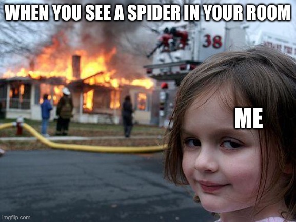 Spider in ur room be like | WHEN YOU SEE A SPIDER IN YOUR ROOM; ME | image tagged in memes,disaster girl | made w/ Imgflip meme maker