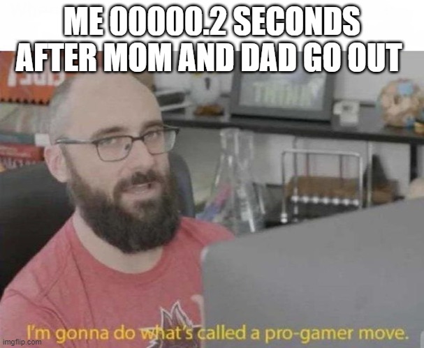 Yeah i am a pro gamer | ME 00000.2 SECONDS AFTER MOM AND DAD GO OUT | image tagged in pro gamer move | made w/ Imgflip meme maker