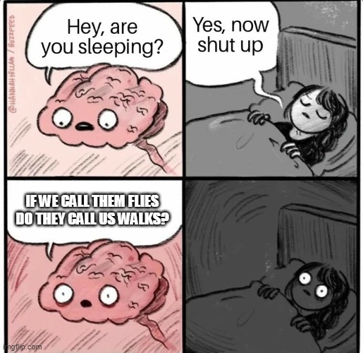Do flies call us walks? | IF WE CALL THEM FLIES DO THEY CALL US WALKS? | image tagged in hey are you sleeping | made w/ Imgflip meme maker