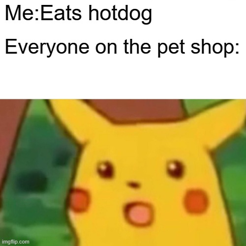 THIS IS NOT FINE |  Me:Eats hotdog; Everyone on the pet shop: | image tagged in memes,surprised pikachu | made w/ Imgflip meme maker