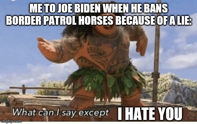 Moana maui what can I say except blank | ME TO JOE BIDEN WHEN HE BANS BORDER PATROL HORSES BECAUSE OF A LIE:; I HATE YOU | image tagged in moana maui what can i say except blank | made w/ Imgflip meme maker