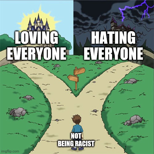 Make sense,right? | LOVING EVERYONE; HATING EVERYONE; NOT BEING RACIST | image tagged in two paths | made w/ Imgflip meme maker