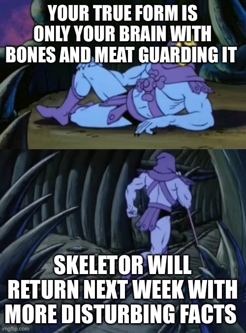 Yes | YOUR TRUE FORM IS ONLY YOUR BRAIN WITH BONES AND MEAT GUARDING IT; SKELETOR WILL RETURN NEXT WEEK WITH MORE DISTURBING FACTS | image tagged in disturbing facts skeletor,brain,body | made w/ Imgflip meme maker