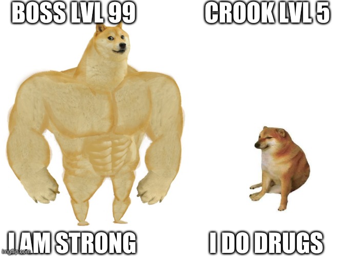 you have to under stand | BOSS LVL 99; CROOK LVL 5; I DO DRUGS; I AM STRONG | image tagged in big dog small dog | made w/ Imgflip meme maker