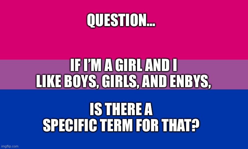 Question | QUESTION…; IF I’M A GIRL AND I LIKE BOYS, GIRLS, AND ENBYS, IS THERE A SPECIFIC TERM FOR THAT? | image tagged in bi flag | made w/ Imgflip meme maker